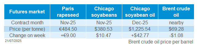 Global oilseeds 21 07 202572.png